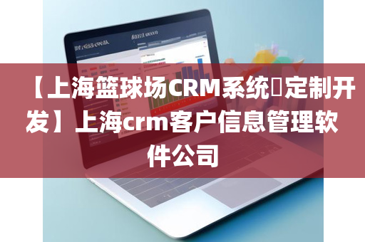 【上海篮球场CRM系统​定制开发】上海crm客户信息管理软件公司